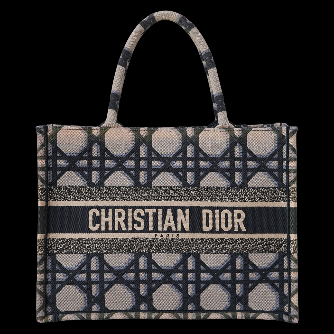 CHRISTIAN DIOR(USED)디올 시즌 북토트 미듐